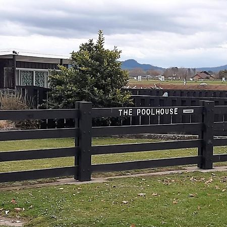 The Poolhouse Bed and Breakfast Matamata Buitenkant foto
